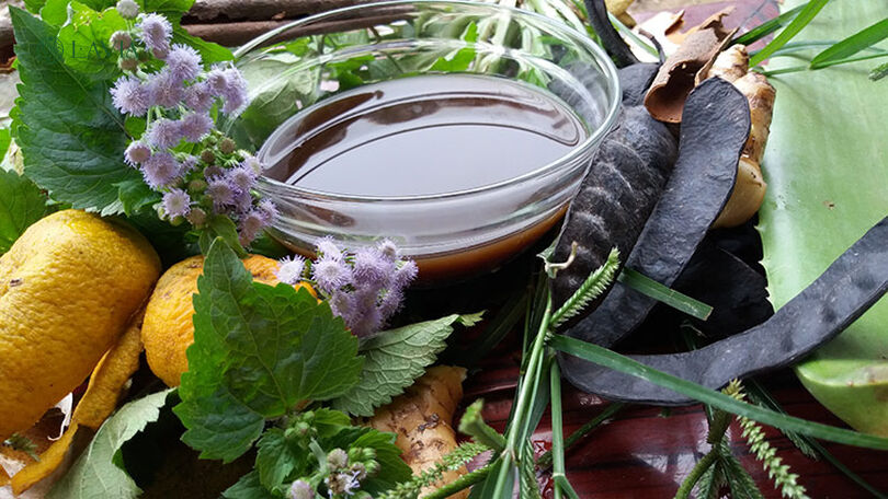 Cách dùng bồ kết gội đầu