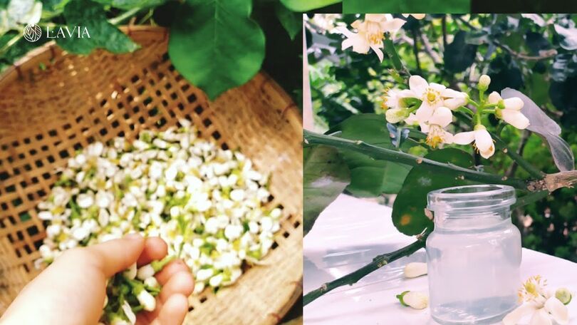 2. Cách ngăn rụng tóc và làm dày tóc bằng tinh dầu hoa bưởi